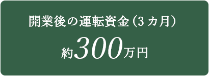 300万円